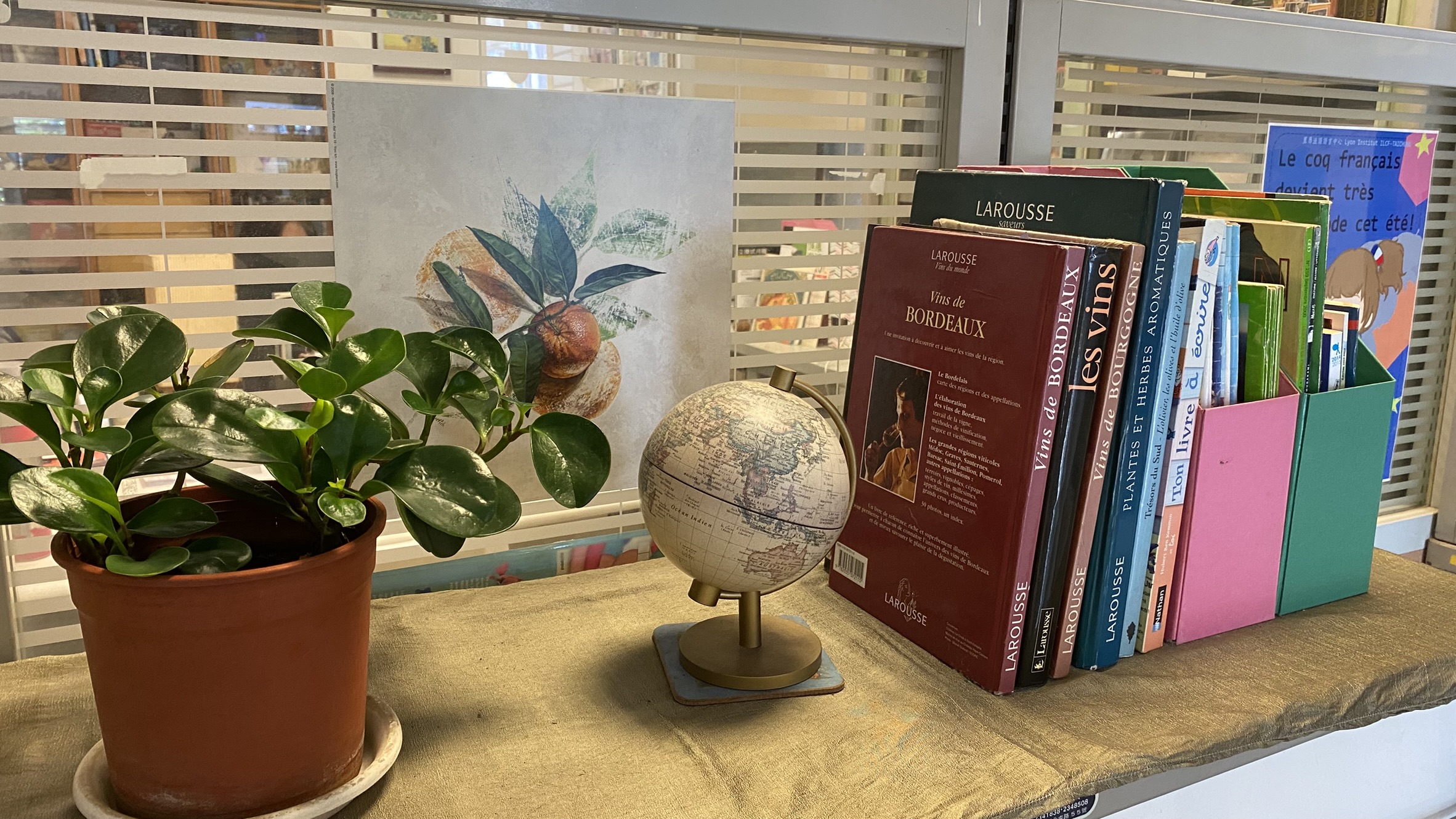 我們的教學特色